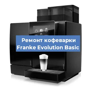 Чистка кофемашины Franke Evolution Basic от накипи в Воронеже
